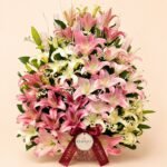 Grand pink and ivory lily arrangement with baby's breath