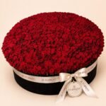 Monumental grand red rose box in black round box