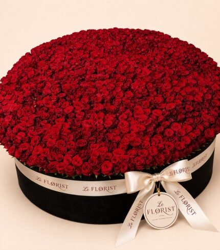 Monumental grand red rose box in black round box